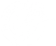 MillWall FC Logo